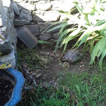 Villa La Maison De Vos