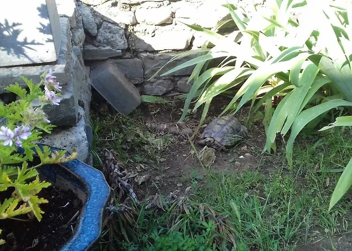 Villa La Maison De Vos